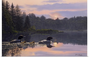 Sundown - Loons