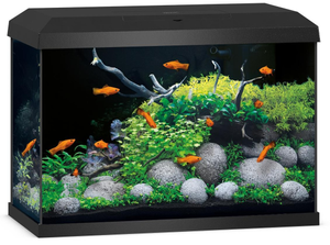 Juwel Primo 70 2.0 Aquarium – Black