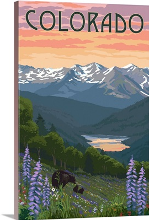 Colorado - Bear and Spring Flowers