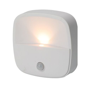 FX Motion Light LED Light with Sensor