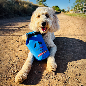 Pet First Aid Kit