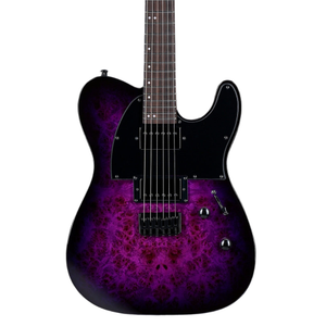 ESP LTD TE-200DX Electric Guitar - Purple Burst