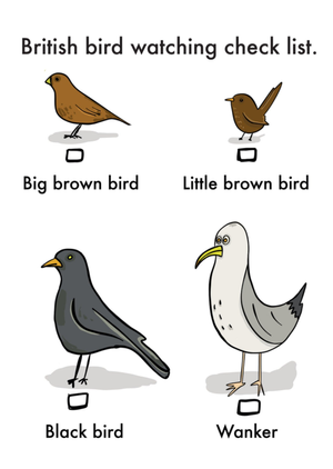 British Bird Watching Check List Humorous Illustrated Birds Birthday Card