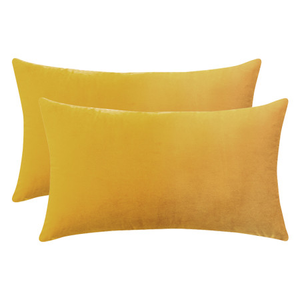 Set of 2 Cushions with Premium Plain Velvet Covers Included - 30x50cm