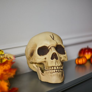 Skull With Movable Jaw 8"