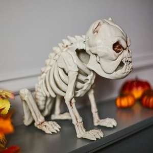 Sitting Bulldog Skeleton