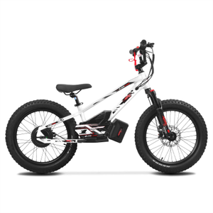 Amped A20 Pro White 800w 36v 10ah Electric Balance Bike