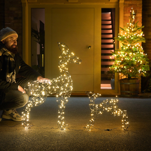Black Frame Doe & Fawn Outdoor Light up Reindeer