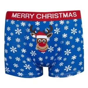 Fluid Boys Christmas Novelty Reindeer Boxers Multi