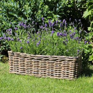 Grey & Buff Rattan Window Box Wicker Planter - 60cm