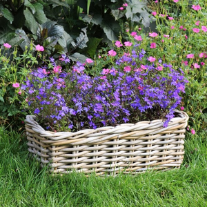 Grey & Buff Window Box Wicker Planter - 40cm
