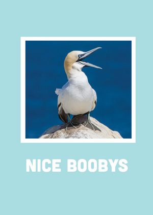 Scribbler Nice Boobys Card