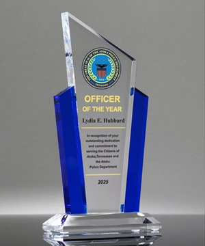 Police Sentinel Service Award