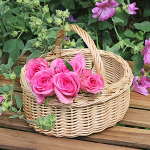 Small Child's Size Wicker Shopping Basket