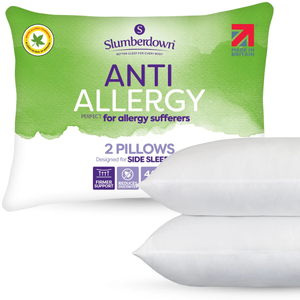 Anti Allergy Pillow