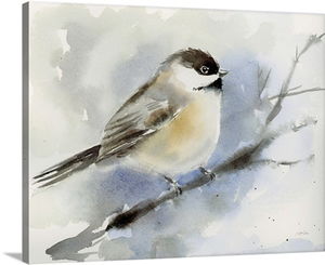 Winter Chickadee