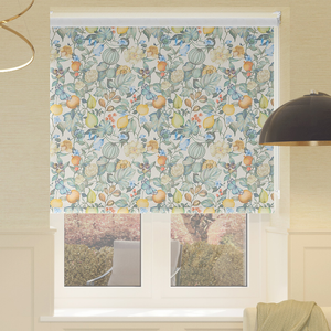 Clemence, Frost - Roller Blind