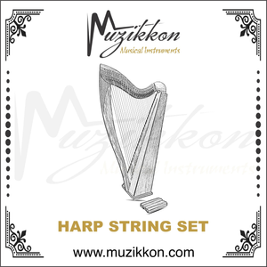 19 String Gothic Harp String Set