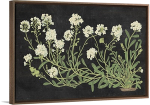 Vintage Flowers on Black