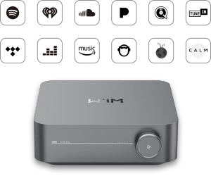 WiiM AMP PRO - Grå