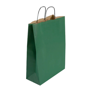 Pack of 25 Large Green Paper Gift Bags With Paper Twisted Handles