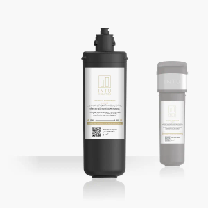 INTU Deluxe Pro Replacement filter