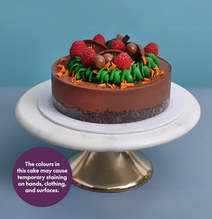 Chocolate Orange Cheesecake