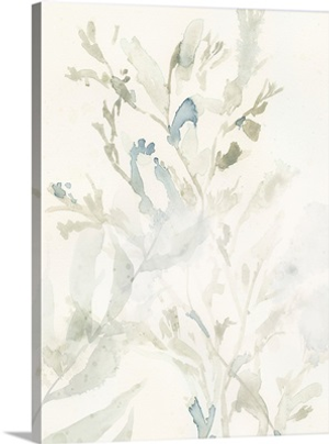 Elegant Sea Kelp III