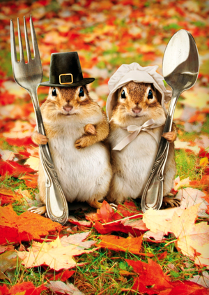 Chipmunks Happy Thanksgiving Card