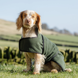 Dog & Field Dual Layer Olive Toweling Coat - S