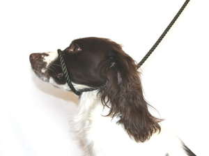 Figure 8 Halter Leads - Cotton Rope - Olive Green