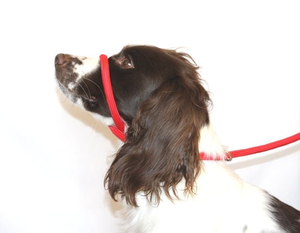 Figure 8 Halter Leads - Braided Nylon - Red