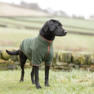 Dog &amp; Field Thermotec Fleece Jumper - L
