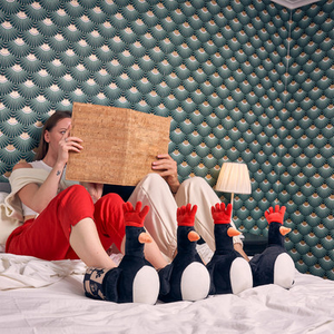Coddies Wallace & Gromit: Feathers McGraw Slippers