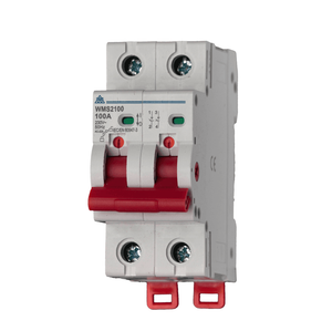 WMS2100 2 Pole 100A Main Switch