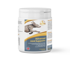 Advanced Joint Support+ 120 &amp; 300 Tablets - 300 tablets