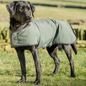 Dog & Field 2-in-1 Waterproof Drying Coat - XL