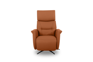 LENNY LEATHER Swivel Deluxe Electric Recliner