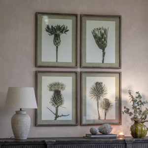 Ormington Set of 4 Poppy Framed Prints