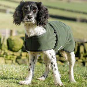 Dog &amp; Field Dual Layer Olive Toweling Coat - L