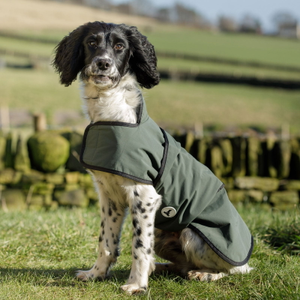 Dog &amp; Field 2-in-1 Waterproof Drying Coat - L