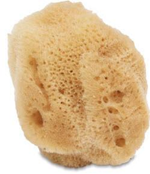 (S) Natural Silk Sponge 2.5"-3.5" Size Varied