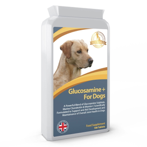 Glucosamine+ 180 Tablets