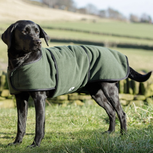 Dog & Field Dual Layer Olive Toweling Coat - XL