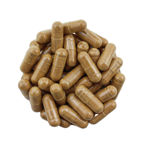 Organic Lions Mane Extract Capsules 240s