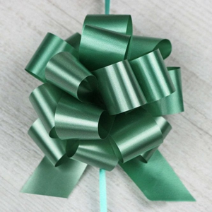 Mint Green Satin Gift Bow