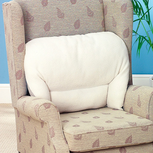 All-season Back Support Cushion