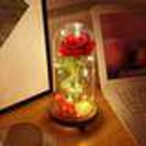 Enchanted Led Rose Light