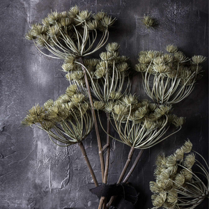 Artificial Angelica, Haze