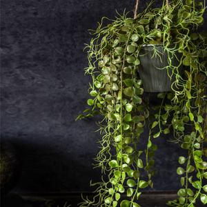 Artificial Angel Hoya Plant in Pot
